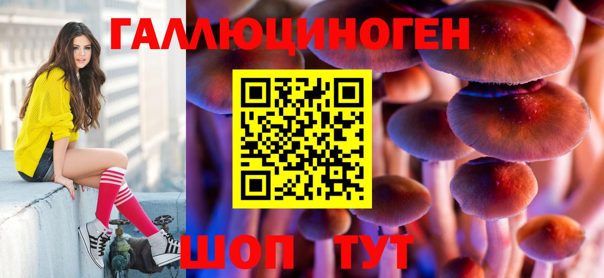 где продают наркотики  Вход с VPN  Галлюциногенные грибы мухоморы  Ульяновск  Псилоцибиновые грибы Cubensis 